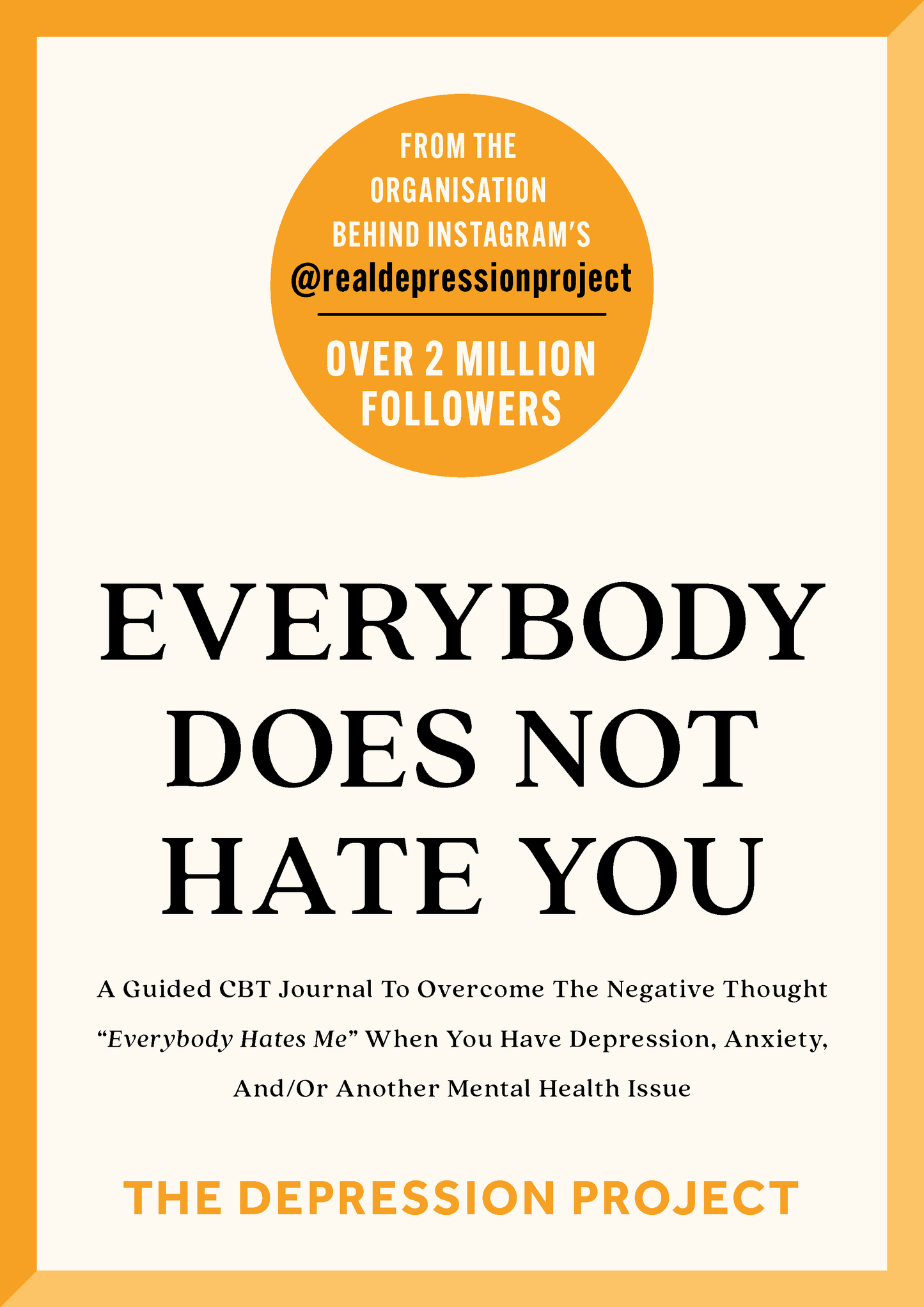 Everybody Does Not Hate You - The Depression Project